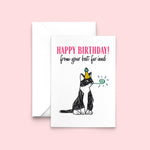 'Best Fur-iend' Funny Cat Birthday Card Birthday Cards Of Life & Lemons 